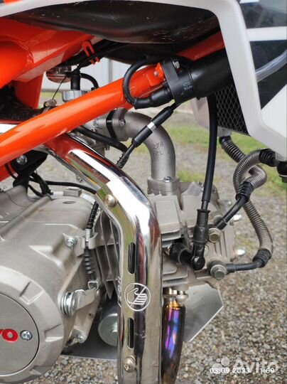 Питбайк кайо тт 140