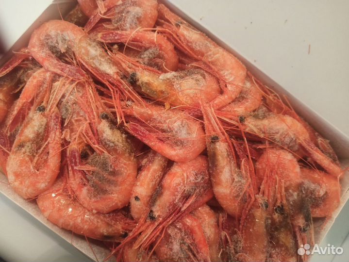 Креветки северные 70 90