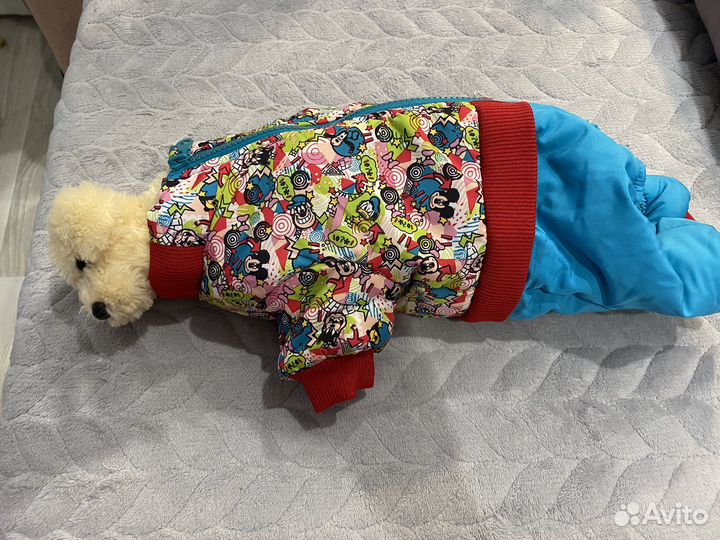 Костюм на собачку