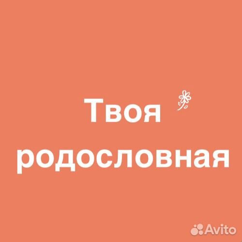 Составление родословной, Генеология