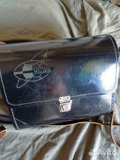 Фотовспышка чайка