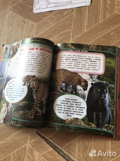 Энциклопедия для малыша