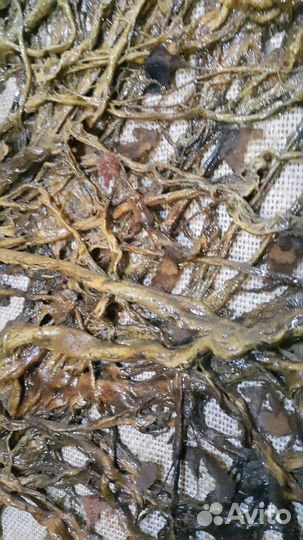 Картина Панно