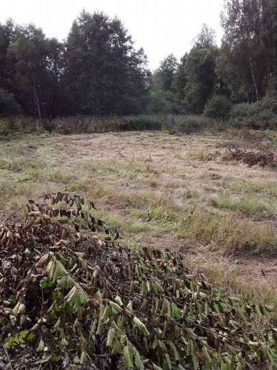 Участок 3 га (СНТ, ДНП)