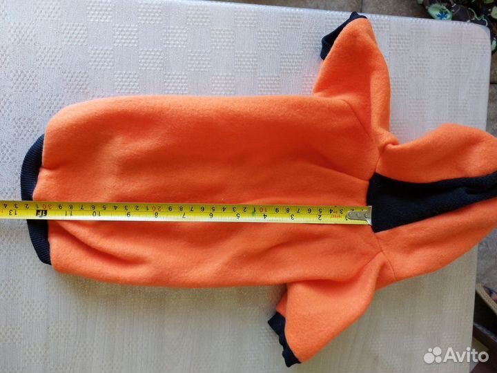 Одежда для собак