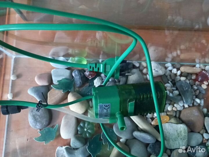 Аквариум и фильтры