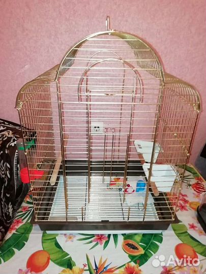 Клетка для попугая