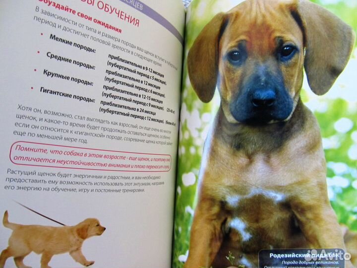 Книги по собаководству