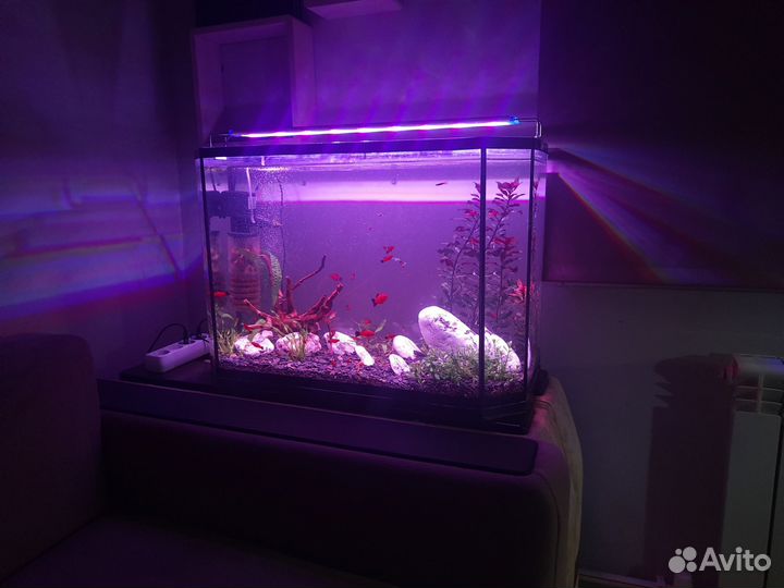 Аквариум