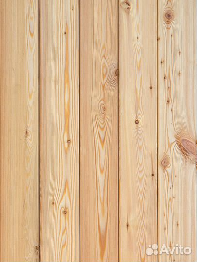 Вагонка хвоя