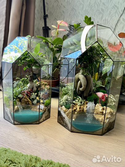 Бонсай флорариум
