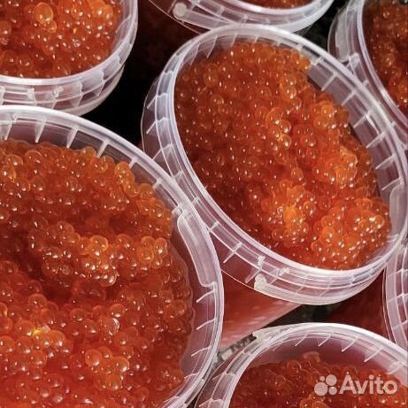 Икра рыб лососевых пород