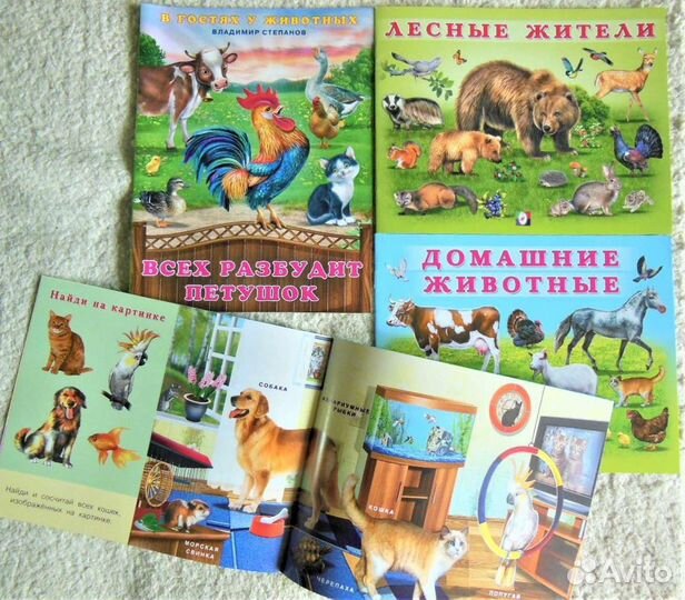 Книги о животных для детей и взрослых