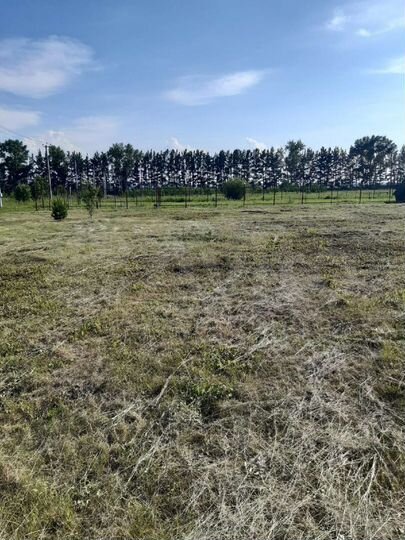 Участок 10 сот. (СНТ, ДНП)