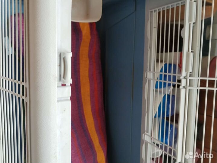 Клетка- переноска для котов