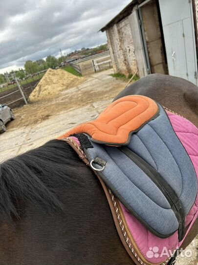 Пад для лошади