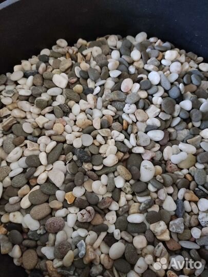 Грунт в аквариум