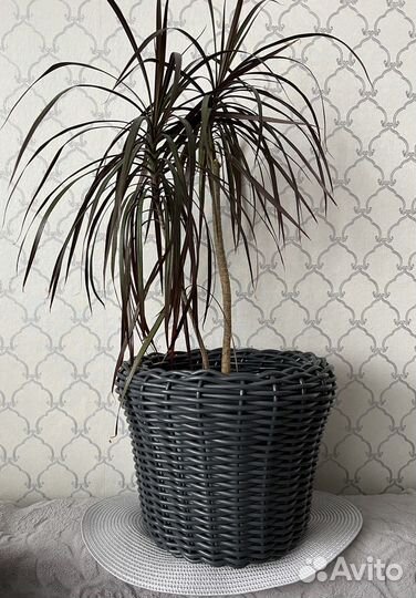 Кашпо из искусственного ротанга