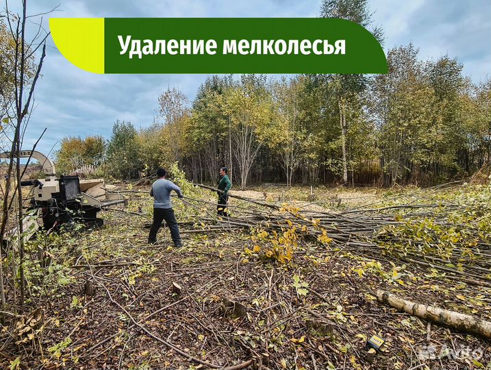 Отсыпка участка, Расчистка, Дренаж