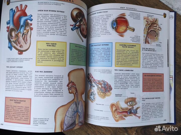 Детская энциклопедия 1001 вопрос и ответ