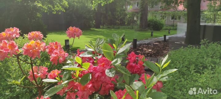 Садовник,агроном,биолог. Специалист по растениям