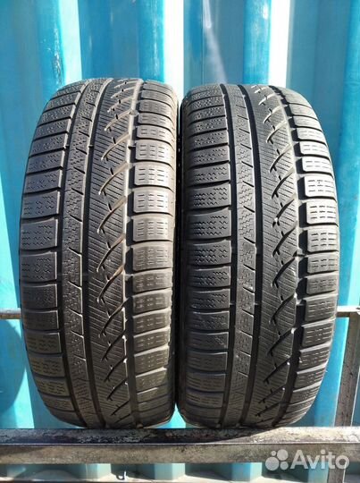 Continental ContiWinterContact TS 810 205/55 R16 91Y