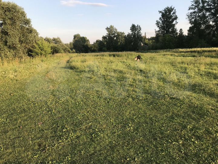 Участок 10 сот. (СНТ, ДНП)