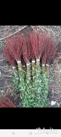 Запись уже открыта на Подвой