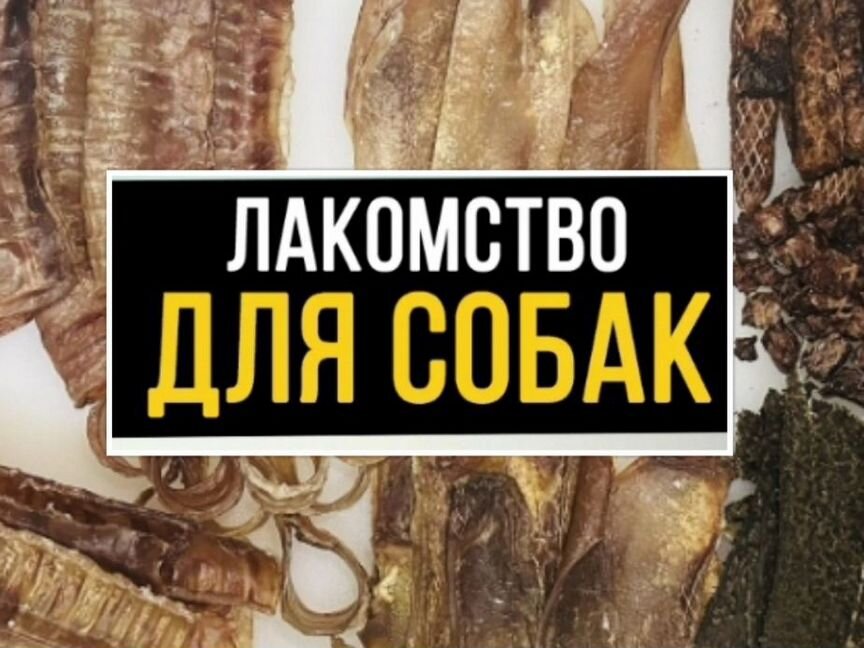 Сухое лёгкое