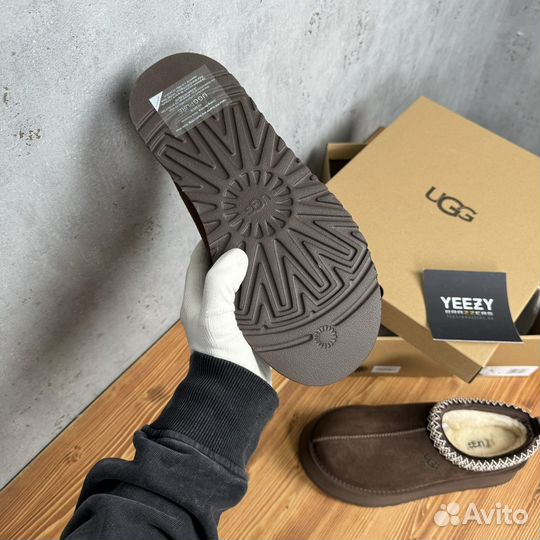 Женские Ugg Tazz New Chocolate