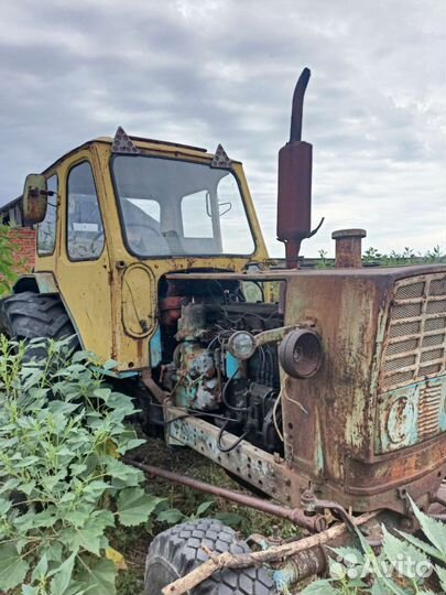 Трактор ЮМЗ 6АЛ, 1979