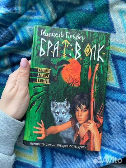 Книга Брат Волк