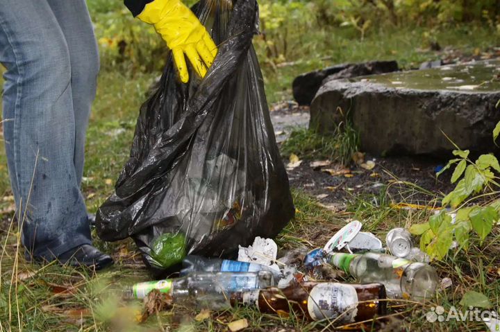 Услуги Дворника