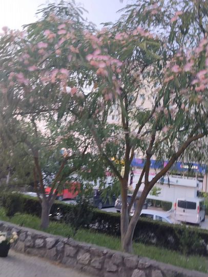 2-к. квартира, 52 м², 3/5 эт.