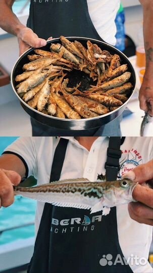 Морская рыбалка в Адлере Имеретинский порт