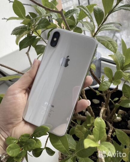iPhone X, 256 ГБ