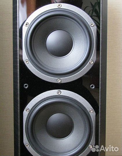 Focal Chorus 826 v