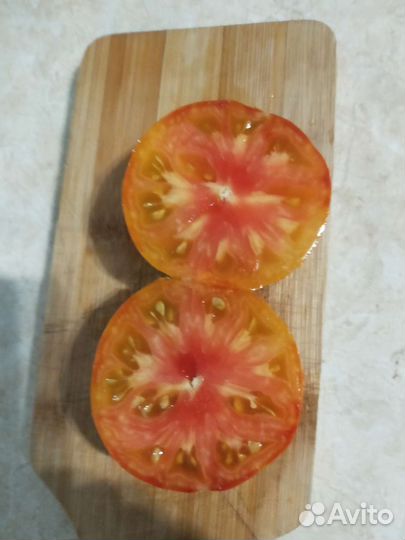 Семена коллекционных томатов