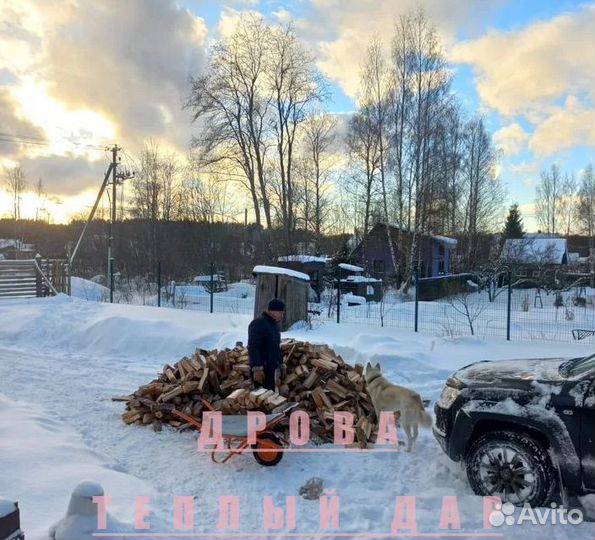 Дрова с доставкой