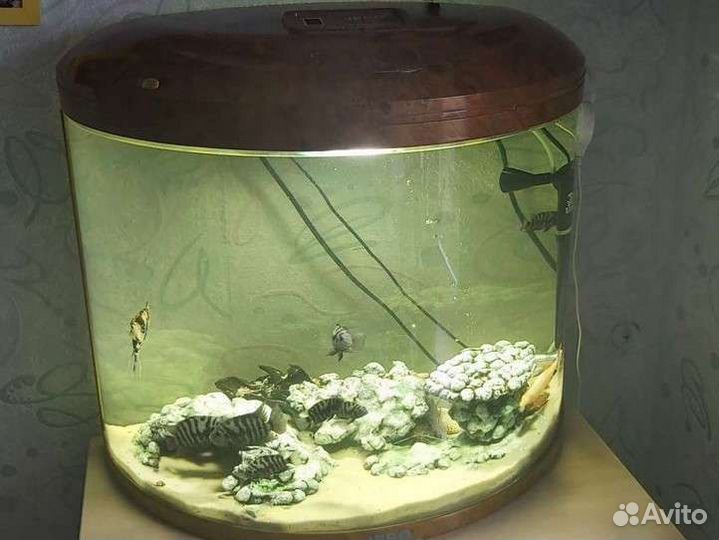 Аквариум jebo R760