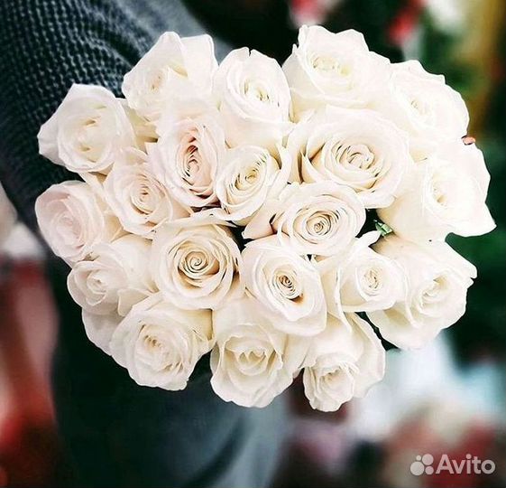 Букет роз 101 роза 51 роза
