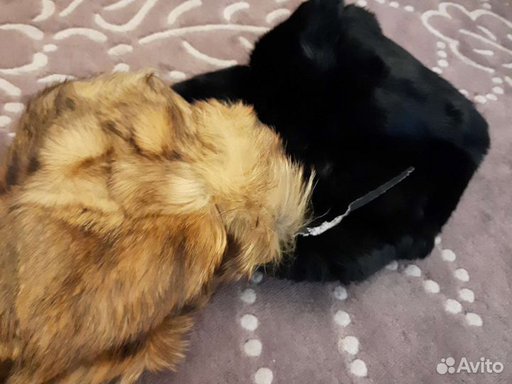 Шапки зимние меховые