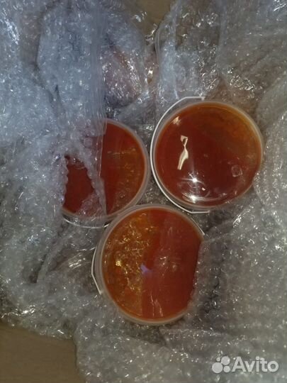 Корм для животных