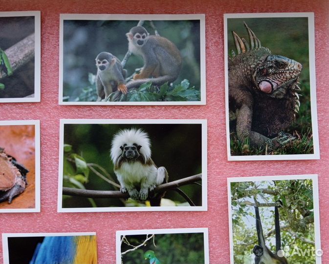 Наклейки Стикермания, 20 штук