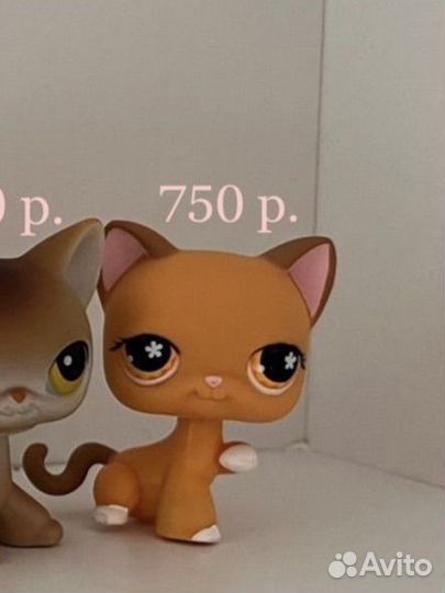 Для доставки