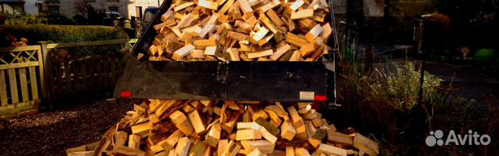 Дрова осина