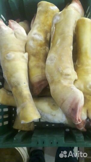 Еда для собак