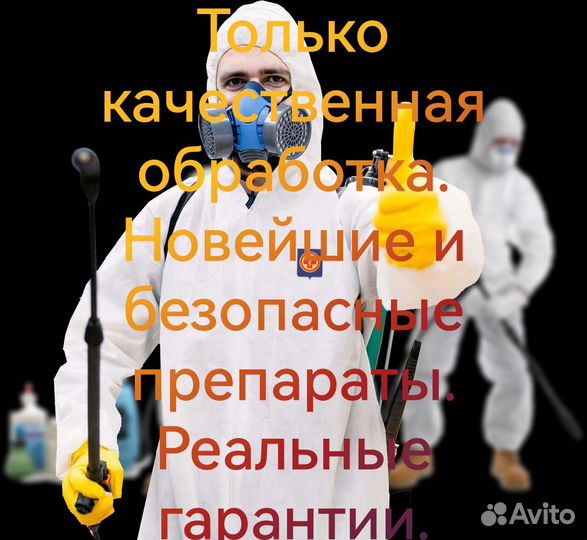 Дезинфекция. Избавим от блох, клопов, тараканов