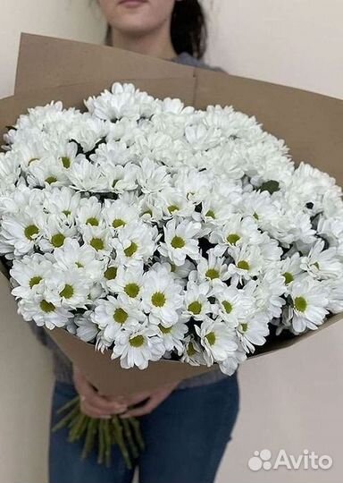 Хризантема Доставка цветов Букеты