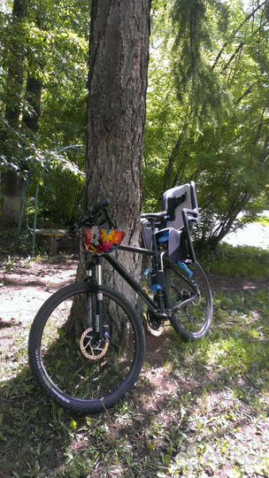 Детское велокресло Thule Ridealong